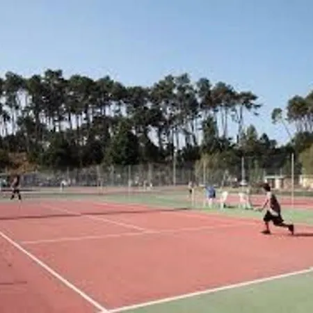 Les Fougeres A81 Les Villages Sous Les Pins 40550