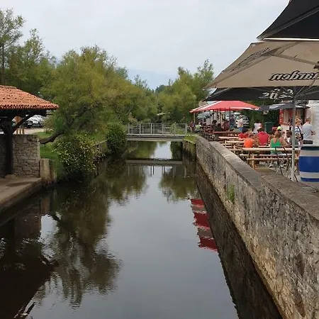 Les Fougeres A81 Les Villages Sous Les Pins 40550 Parque de vacaciones