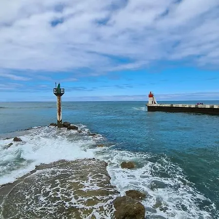 Les Fougères A81 Les Villages Sous Les Pins 40550