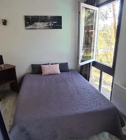 Les Fougères A81 Les Villages Sous Les Pins 40550 Village de vacances
