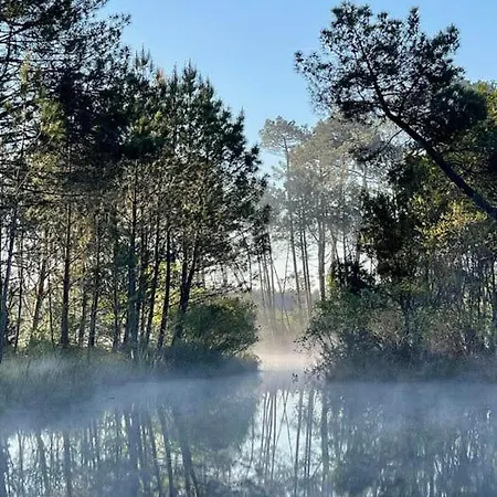 Les Fougères A81 Les Villages Sous Les Pins 40550 Village de vacances