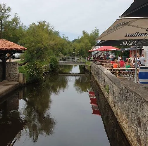 Les Fougeres A81 Les Villages Sous Les Pins 40550 Prázdninový areál